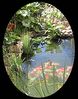 Filename=pond.jpg
Filesize=40KB
Dimensions=177x225
Date added=Jul 20, 2007 pond.jpg